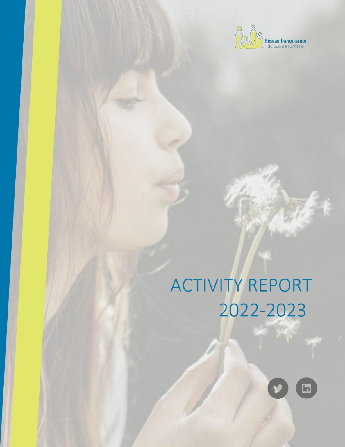 Activity reports › Réseau franco-santé du Sud de l'Ontario